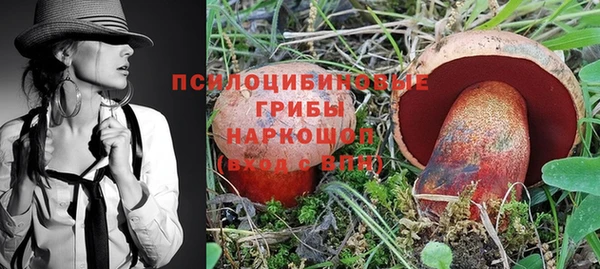 шишки Усолье-Сибирское