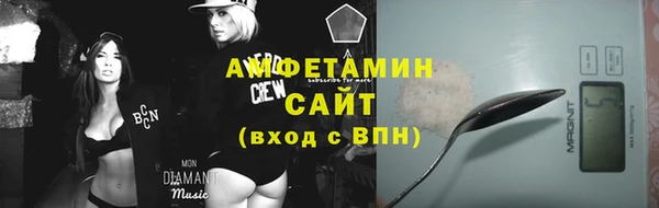 шишки Горно-Алтайск