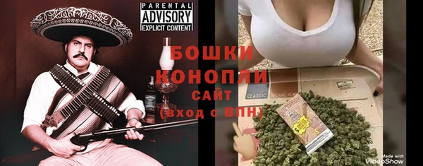 шишки Горно-Алтайск