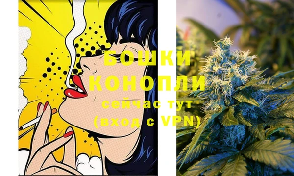 стаф Тында