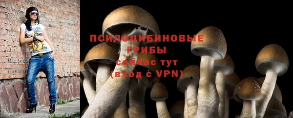 шишки Горно-Алтайск