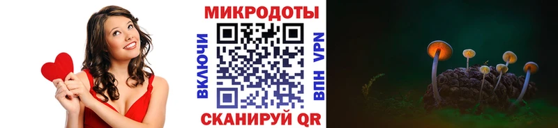 Псилоцибиновые грибы мухоморы  где продают наркотики  Дмитров 